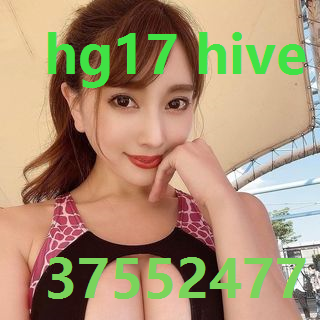 hg17 hive app